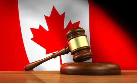Are Sex Dolls Legal in Canada?