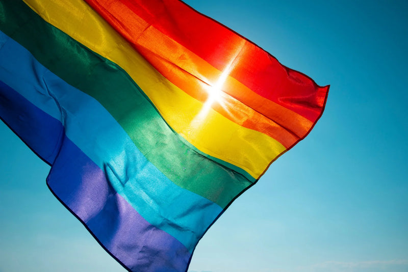 Cómo la industria de las muñecas sexuales está apoyando a las comunidades LGBTQ+