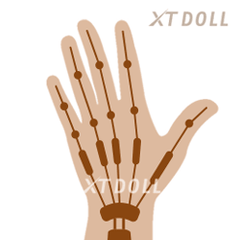 Opción personalizada de muñeca XT - Esqueleto de mano articulado