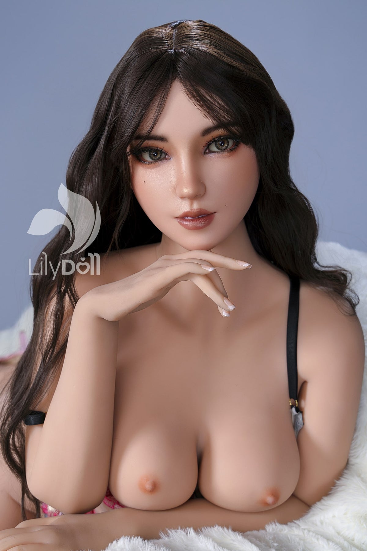 Aria: Ready To Ship