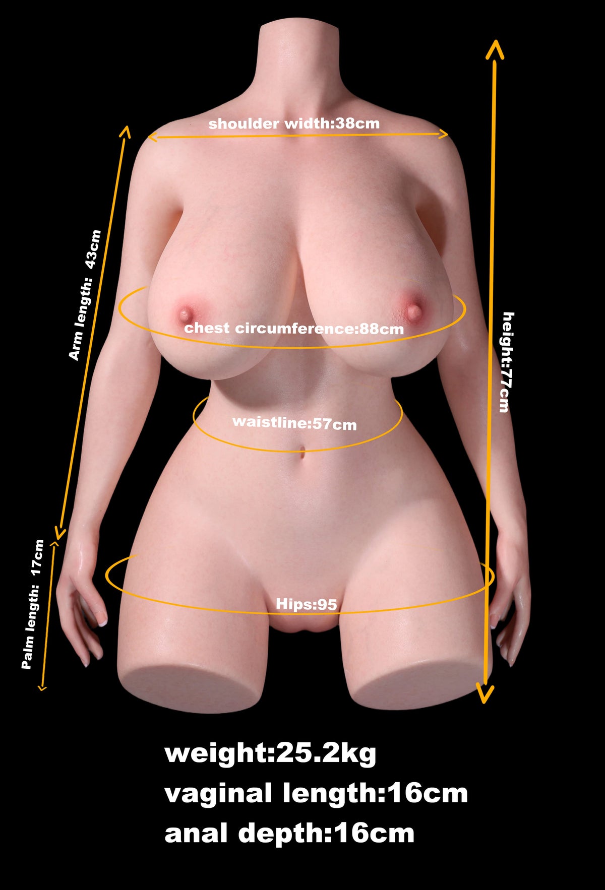 Arcana T-04 Sex Doll Torso