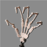 Opción personalizada de Zelex: esqueleto de mano articulado